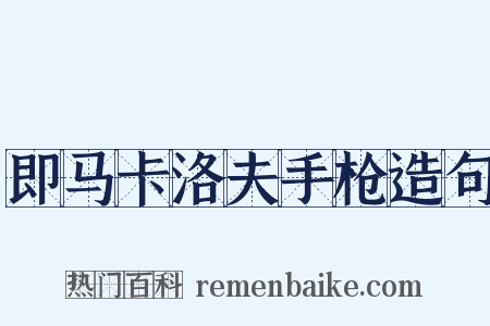 即马卡洛夫手枪造句是什么意思的图片